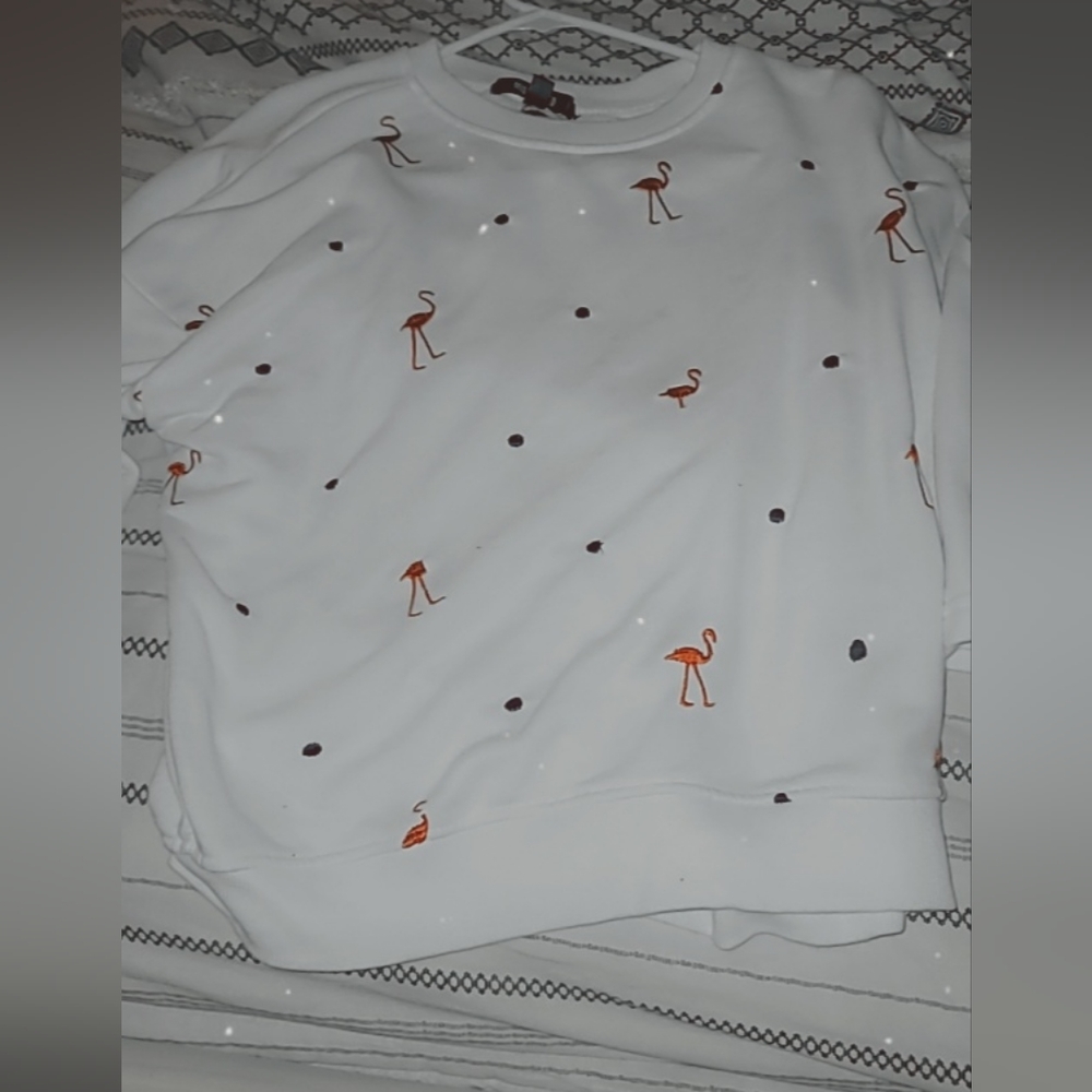 Flamingo and Polka Dot sweatsuit set